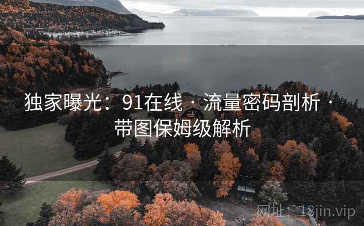 独家曝光:91在线 · 流量密码剖析 · 带图保姆级解析