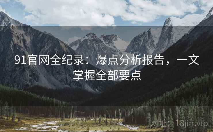 91官网全纪录:爆点分析报告,一文掌握全部要点