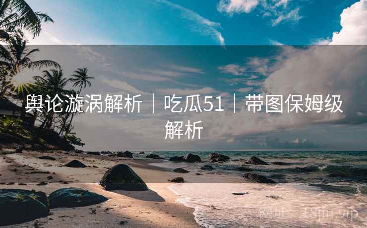舆论漩涡解析|吃瓜51|带图保姆级解析