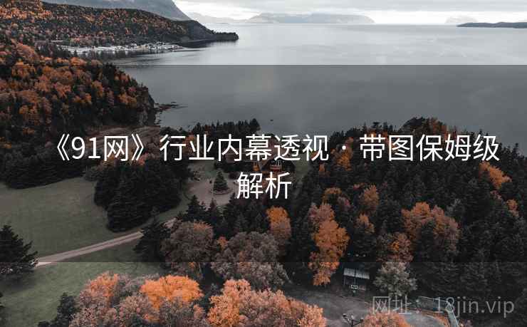 《91网》行业内幕透视 · 带图保姆级解析
