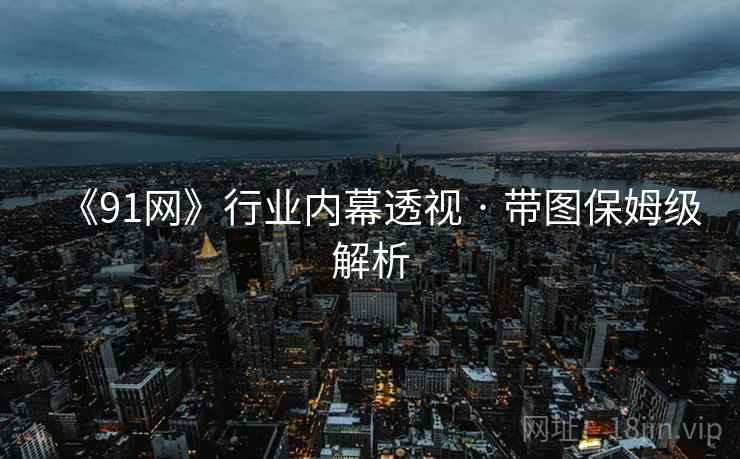 《91网》行业内幕透视 · 带图保姆级解析