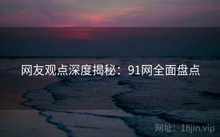 网友观点深度揭秘:91网全面盘点