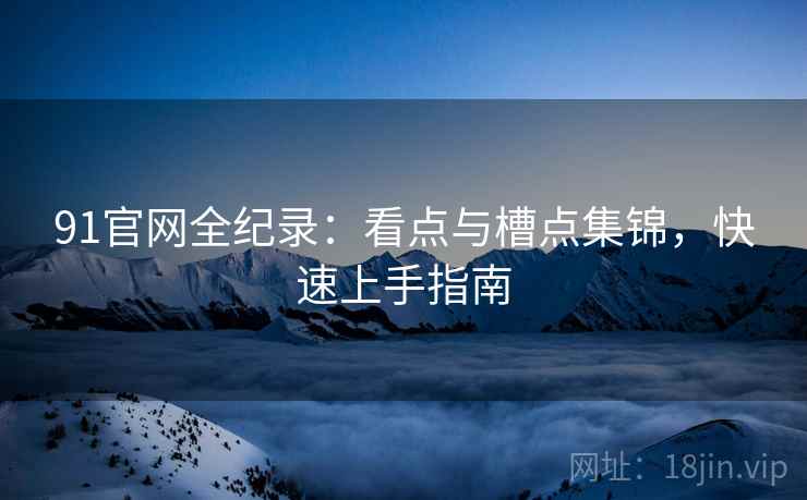 91官网全纪录:看点与槽点集锦,快速上手指南